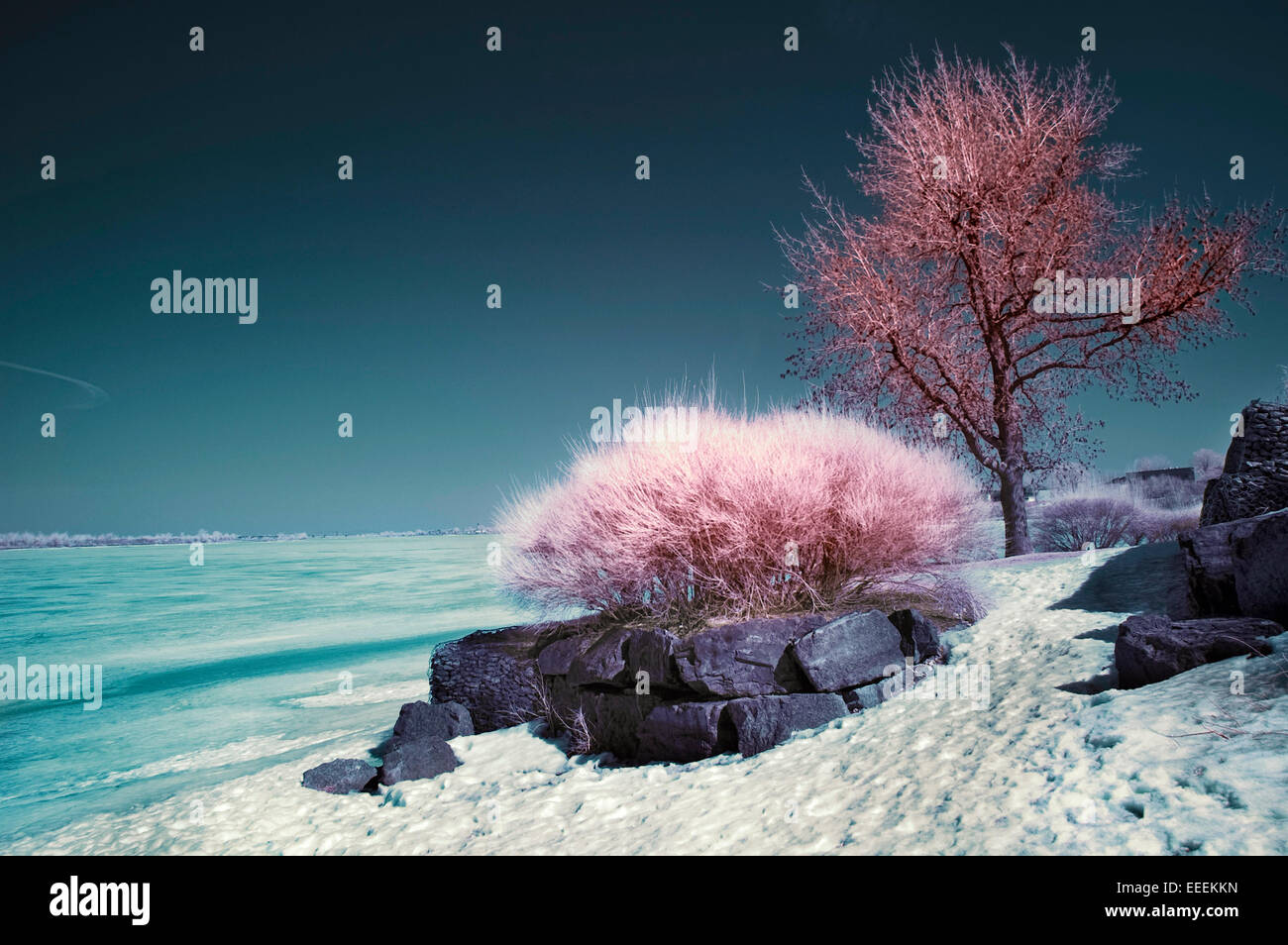 Filtro infrarrojo fotografías e imágenes de alta resolución - Alamy