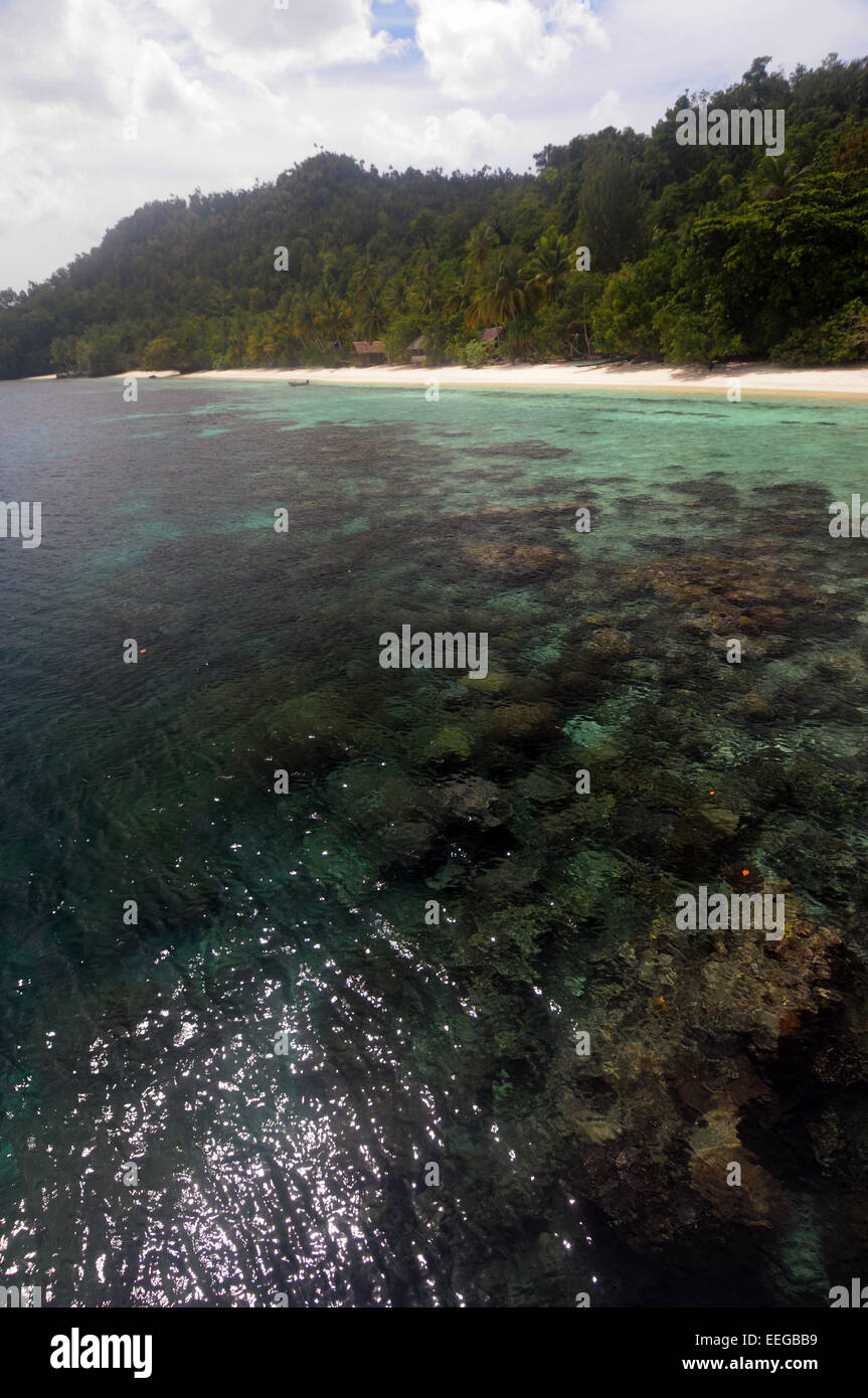 Barrera Coralina de playa, GAM, Raja Ampat Isla, provincia de Papúa, Indonesia Foto de stock
