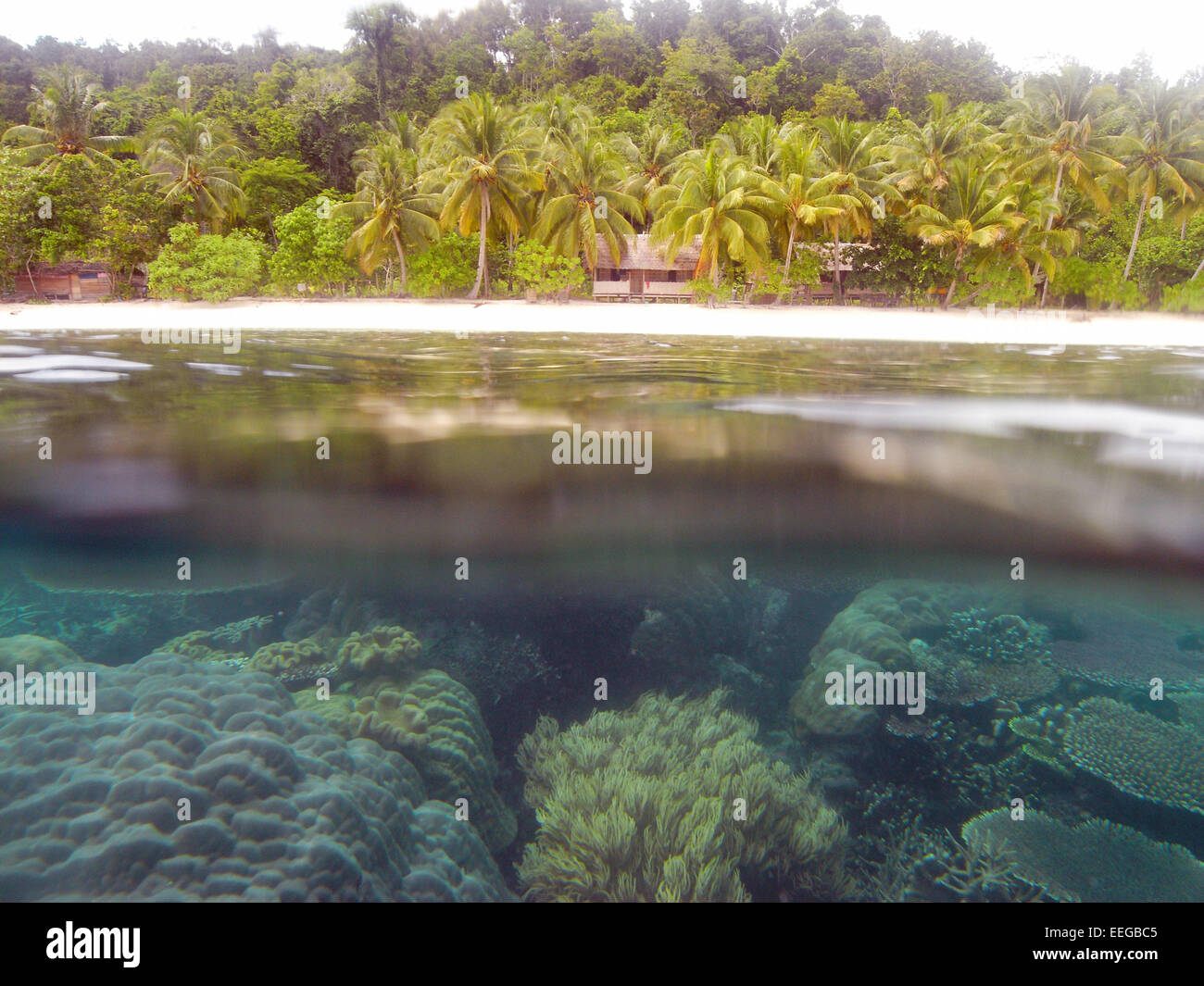 Arrecifes de coral sanos, playa y homestay hut, GAM, Raja Ampat Isla, provincia de Papúa, Indonesia. No hay PR Foto de stock