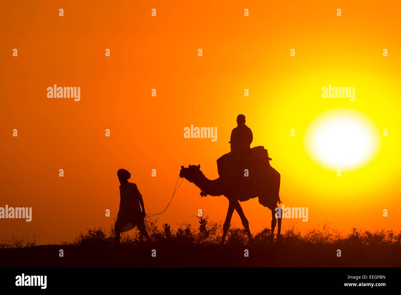 Pushkar, Rajastán, India, los turistas tomando sol del desierto paseo en camellos Foto de stock