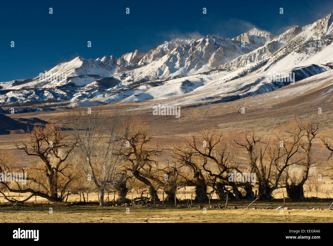 Mt Humphreys en la zona oriental de Sierra Nevada en invierno desde Ronda valle cerca de Bishop, California, EE.UU. Foto de stock
