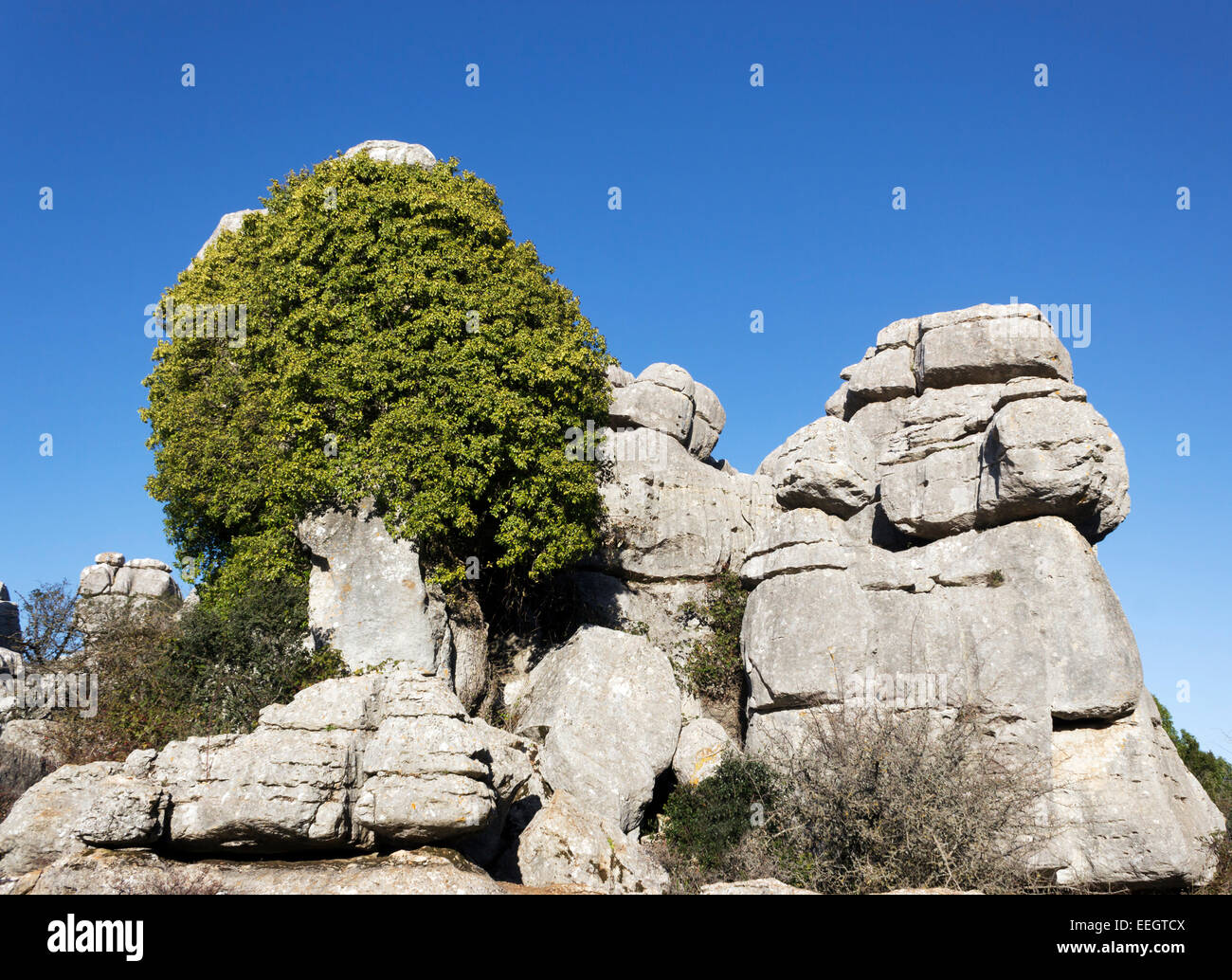 El Torcal de Antequera, la Sierra del Torcal de Antequera, Málaga, Andalucía, España. Formaciones de roca kárstica Foto de stock