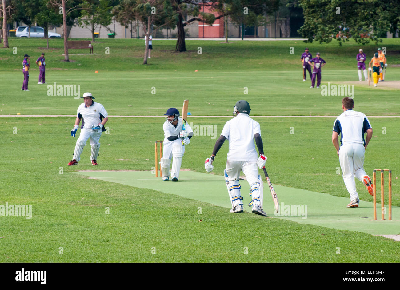 En un partido de cricket parque suburbano, Melbourne, Australia Foto de stock