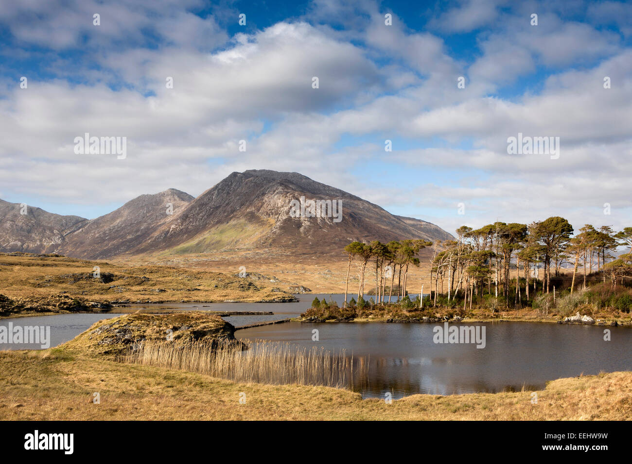 Irlanda, Co Galway, Parque Nacional de Connemara, Bencorr desde Ballynahinch Foto de stock