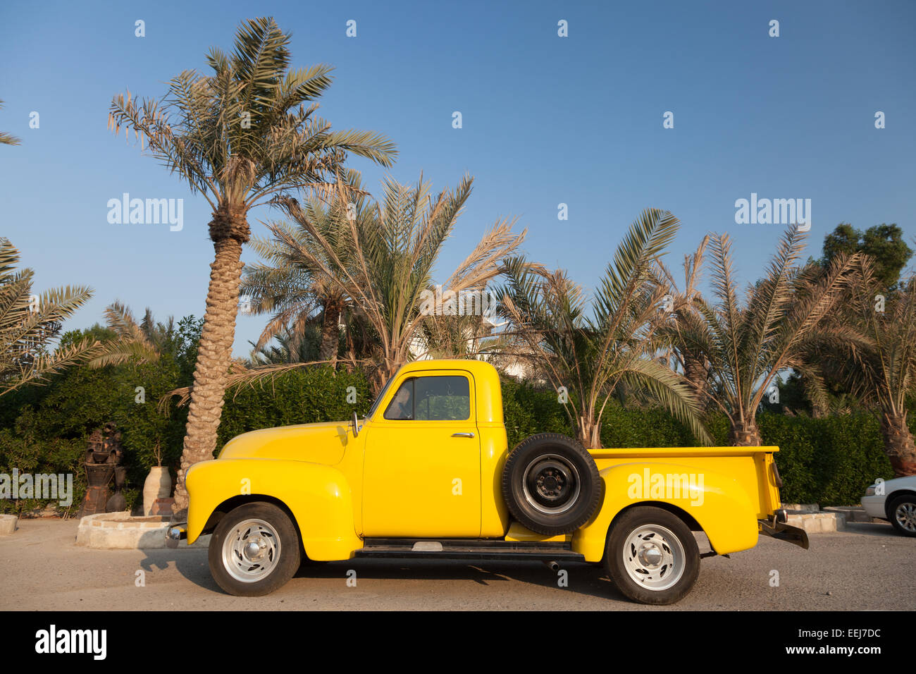 Camioneta Chevy amarillo clásico bajo las palmeras. Foto de stock