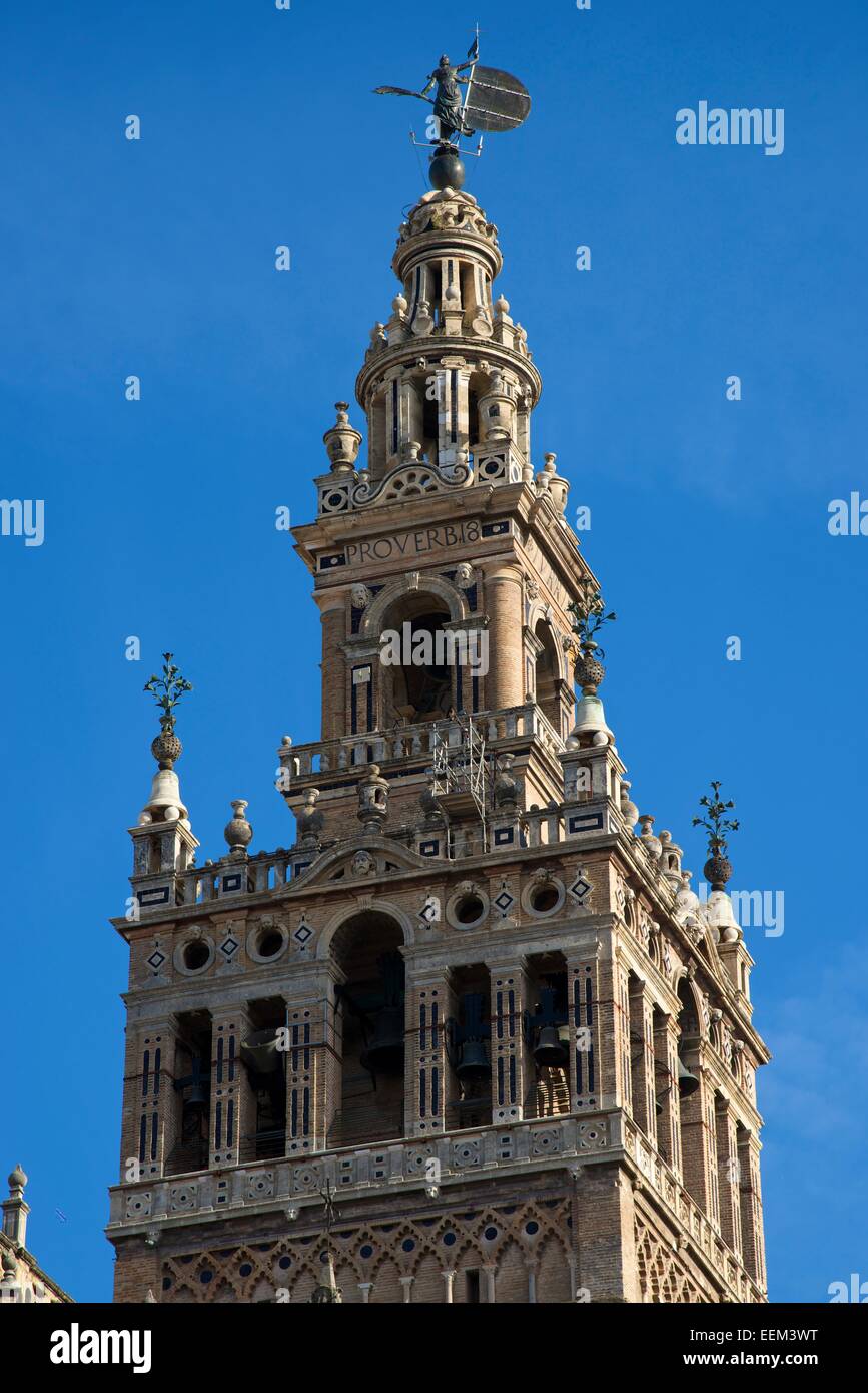 La Giralda campanario de la Catedral de Sevilla, Sevilla, Andalucía, España Foto de stock