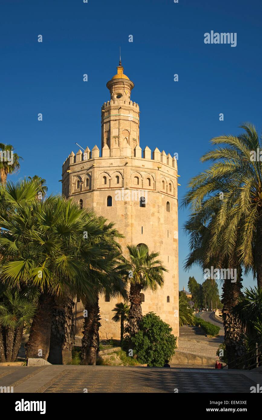 Torre del Oro en la orilla del río Guadalquivir, Sevilla, Andalucía, España Foto de stock