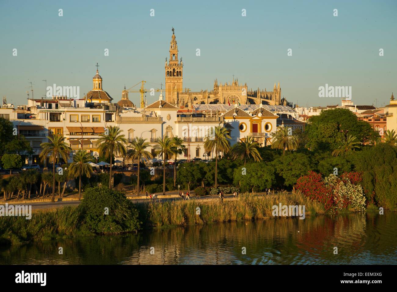 Vista sobre el Guadalquivir a la plaza de toros y la Catedral, Sevilla, Andalucía, España Foto de stock