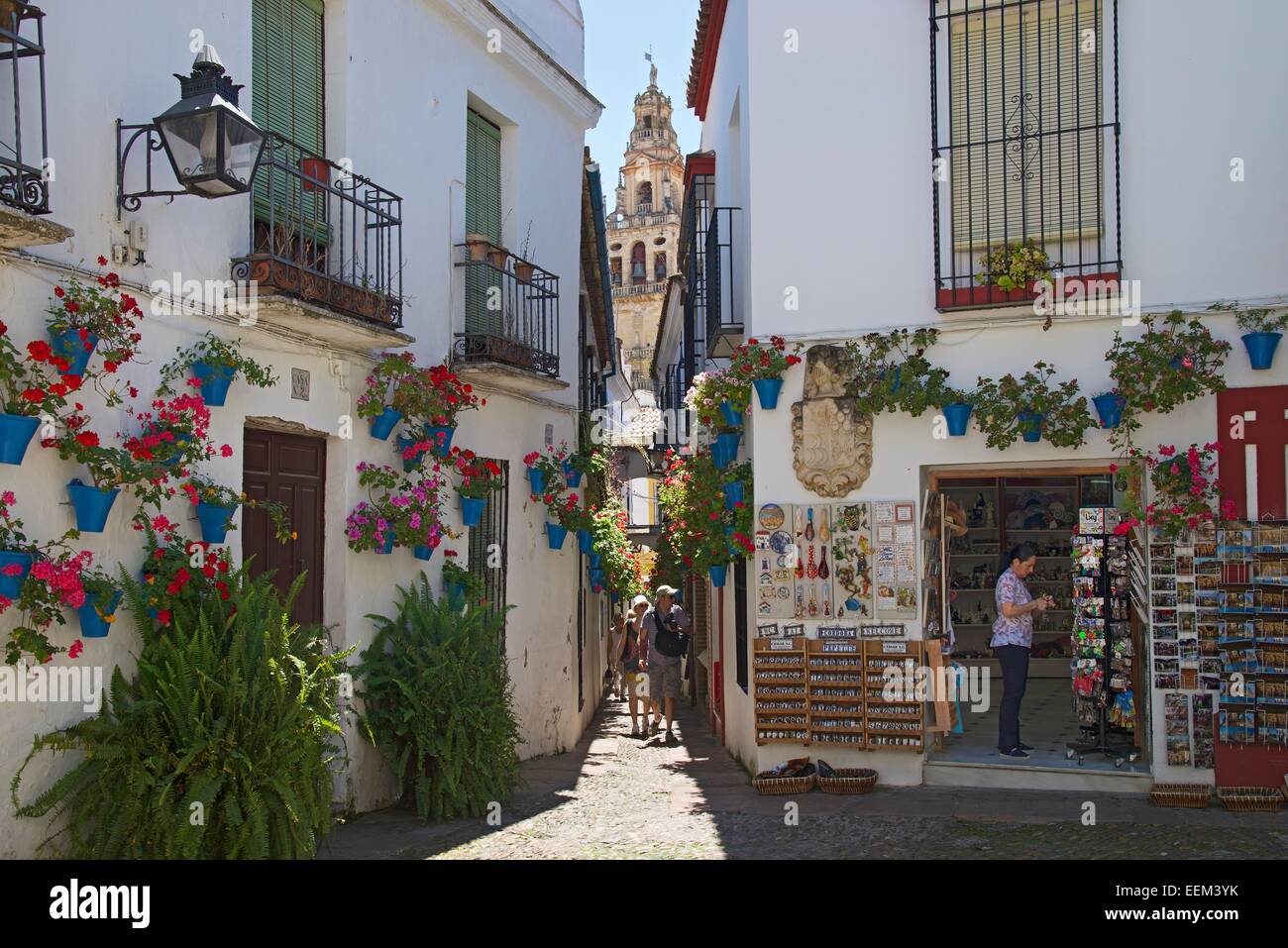 Calle de las flores con las flores, provincia de Córdoba, Andalucía, España  Fotografía de stock - Alamy