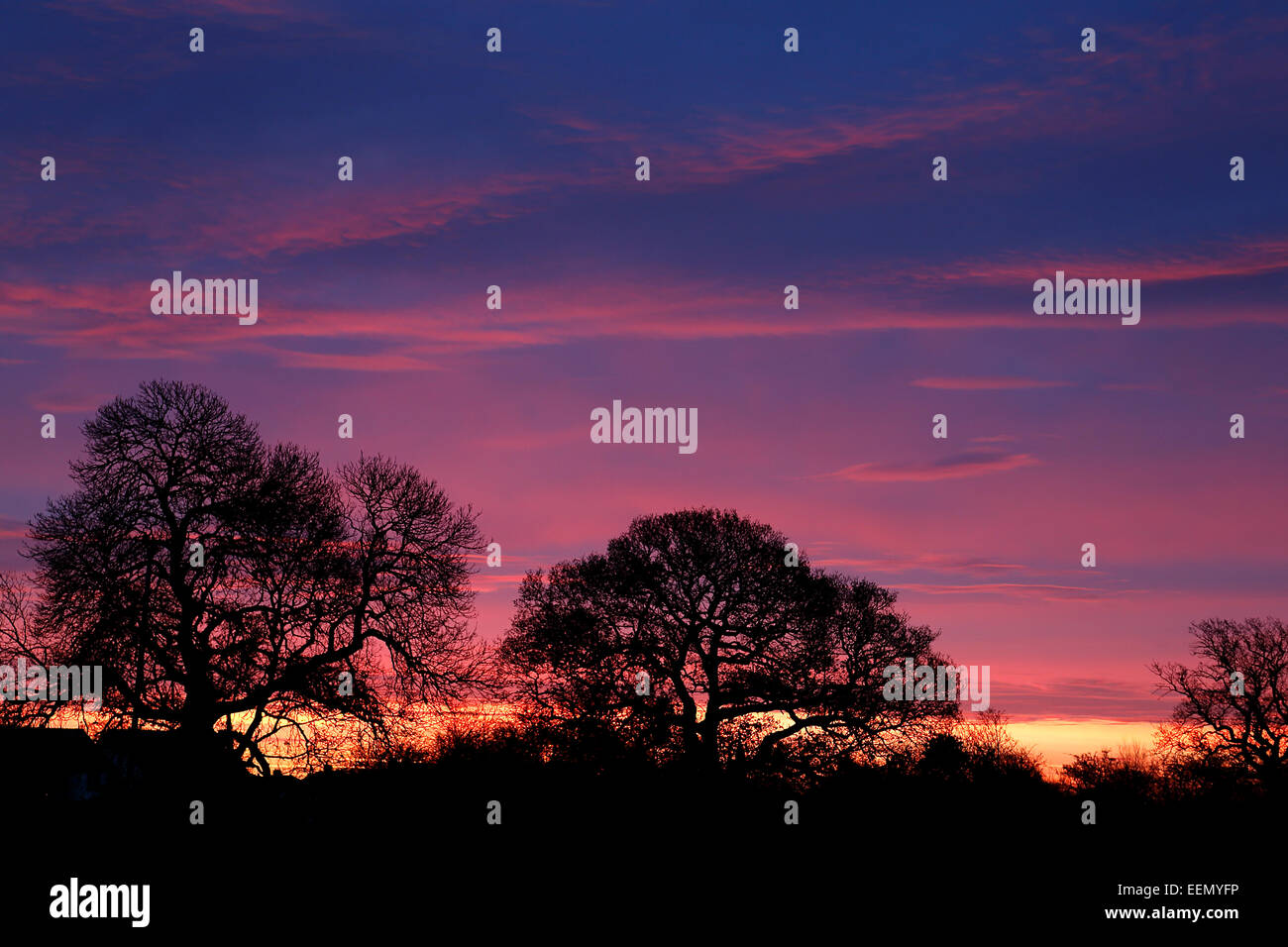 Amanecer mirando al sur oriente en Willaston Village Wirral Cheshire UK DICIEMBRE DE 50655 Foto de stock