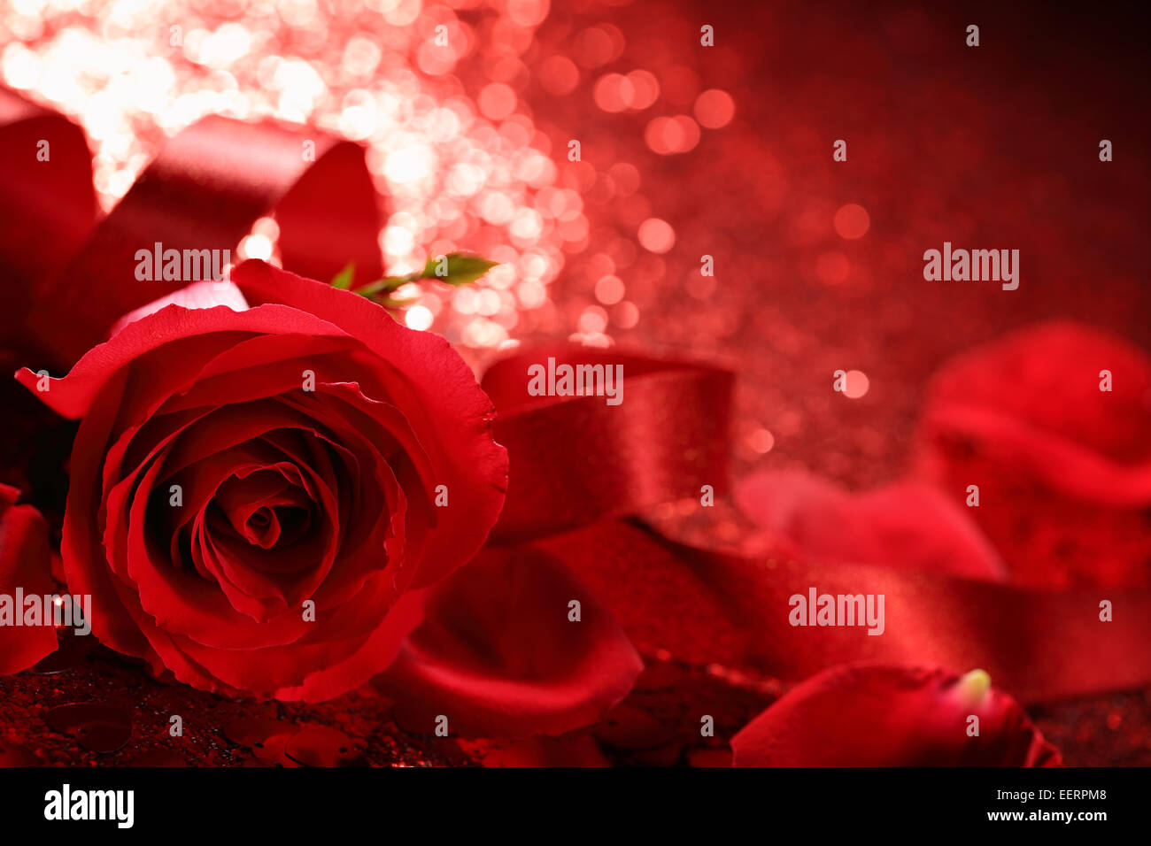 Rosa roja con cinta en bokeh antecedentes,Closeup. Foto de stock