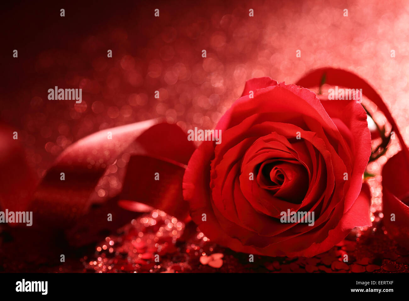 Rosa roja con cinta en bokeh antecedentes,Closeup. Foto de stock