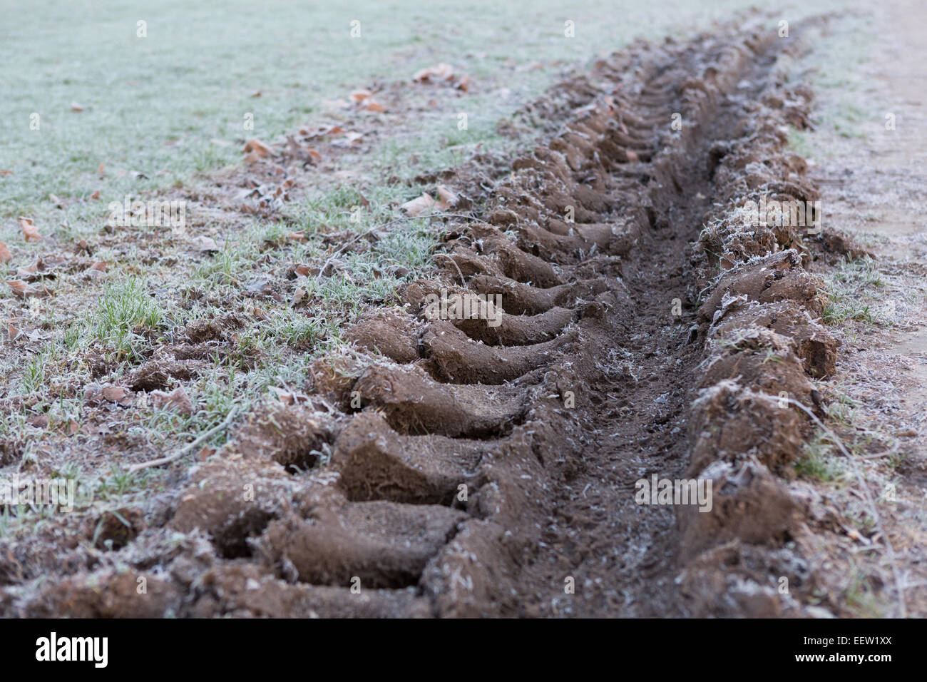 Las huellas de los neumáticos del tractor en tierra barro congelados Foto de stock