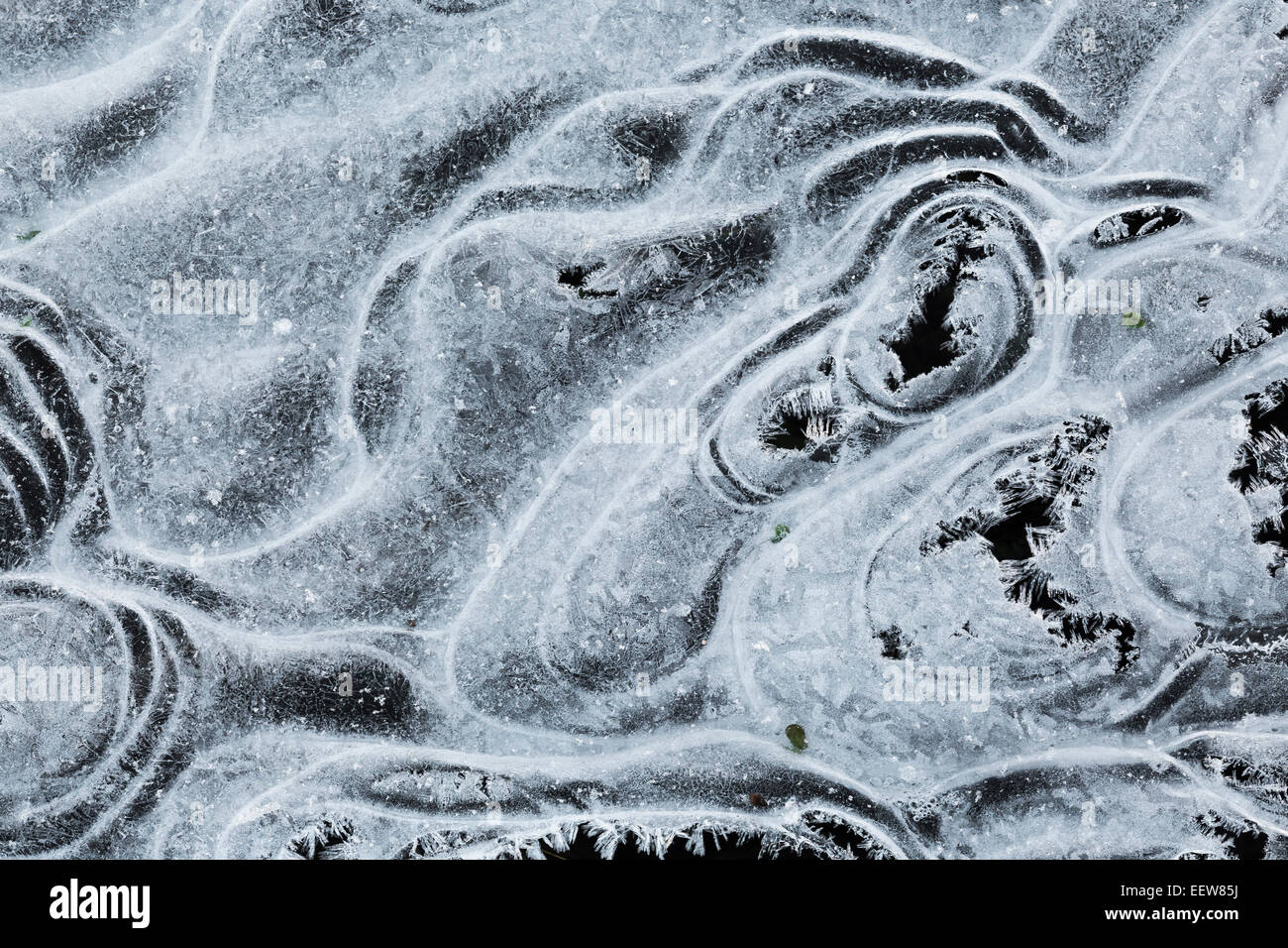 En caprichosas formas crecientes de hielo encima de un humedal en el condado de Mecosta cerca de Big Rapids y Stanwood, Michigan, EE.UU. Foto de stock