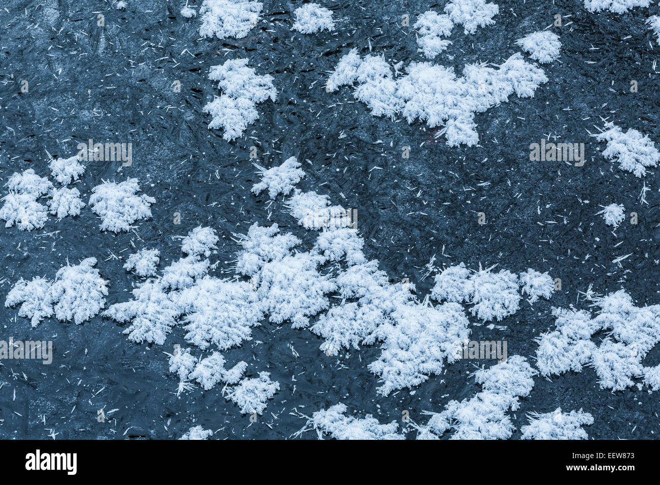 Intrincado frost flores que crecen en condiciones extremadamente frío encima de una capa de hielo en el stream Mecosta County, Michigan, EE.UU. Foto de stock