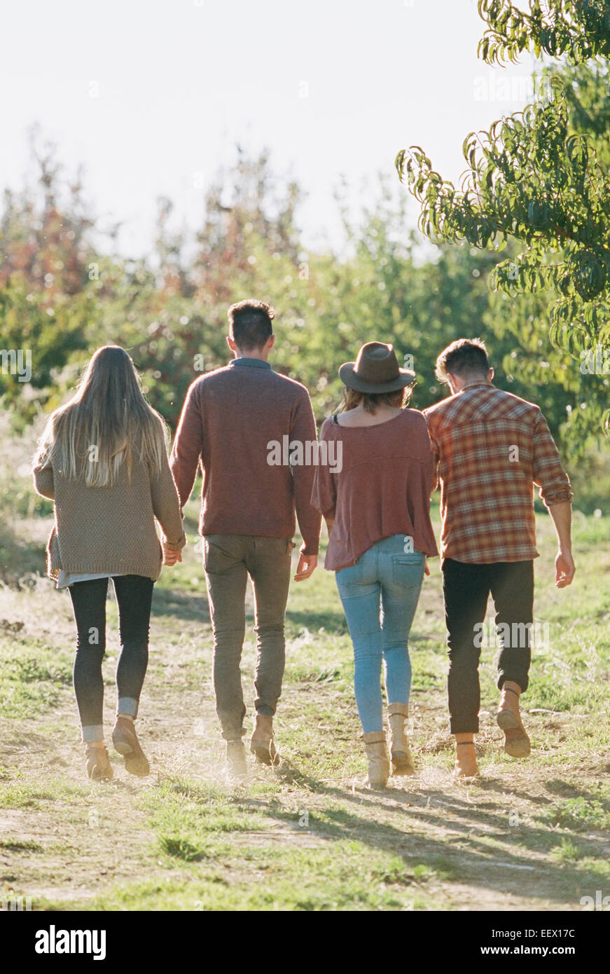 Huerto de Manzanas. Dos parejas caminando por un sendero. Foto de stock