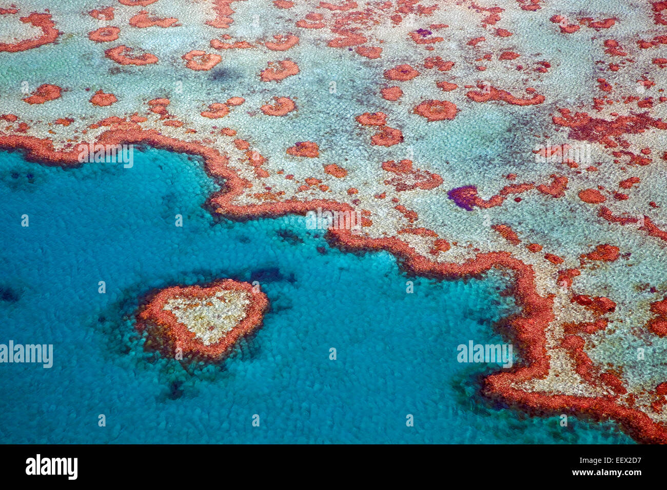 Vista aérea del corazón en forma de corazón, que forma parte del arrecife de la Gran Barrera de Coral de Whitsundays en el Mar de Coral, Queensland, Australia Foto de stock
