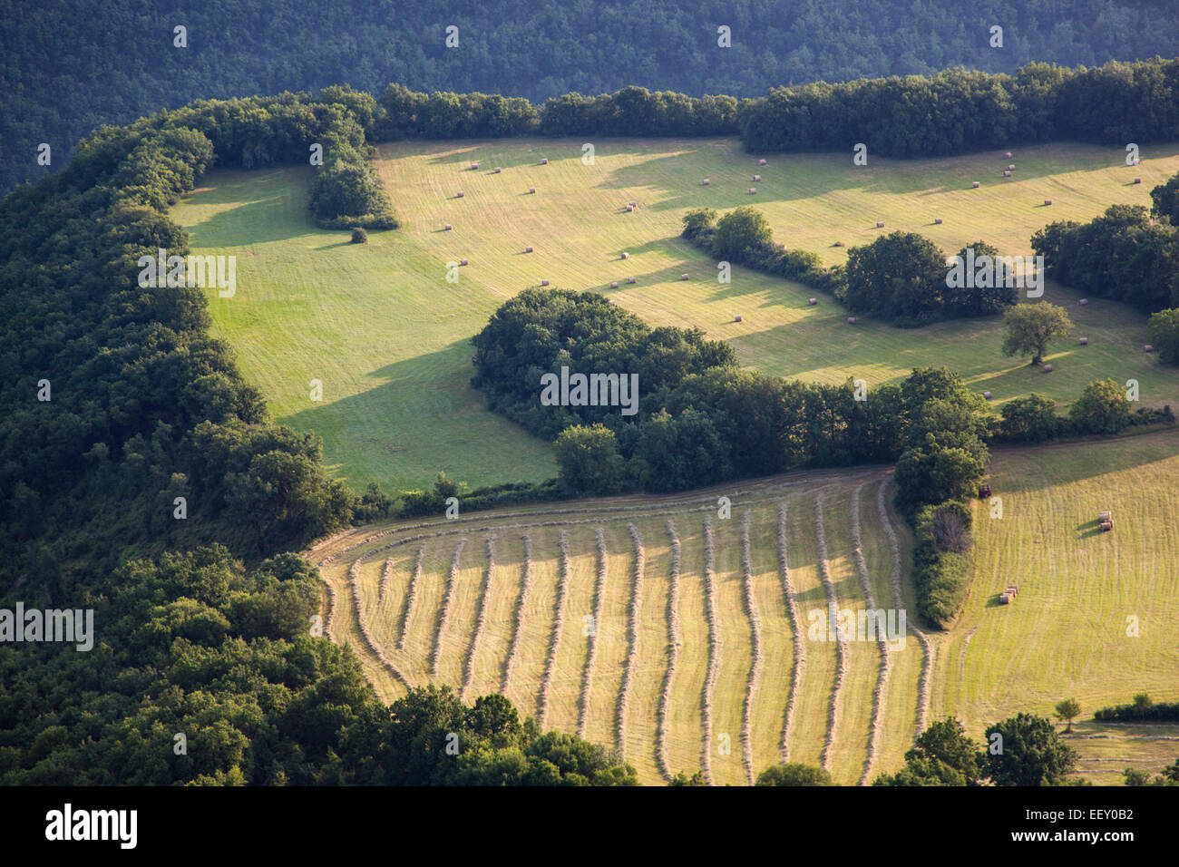 Vista aérea del campo y prados de heno haciendo tiempo Foto de stock