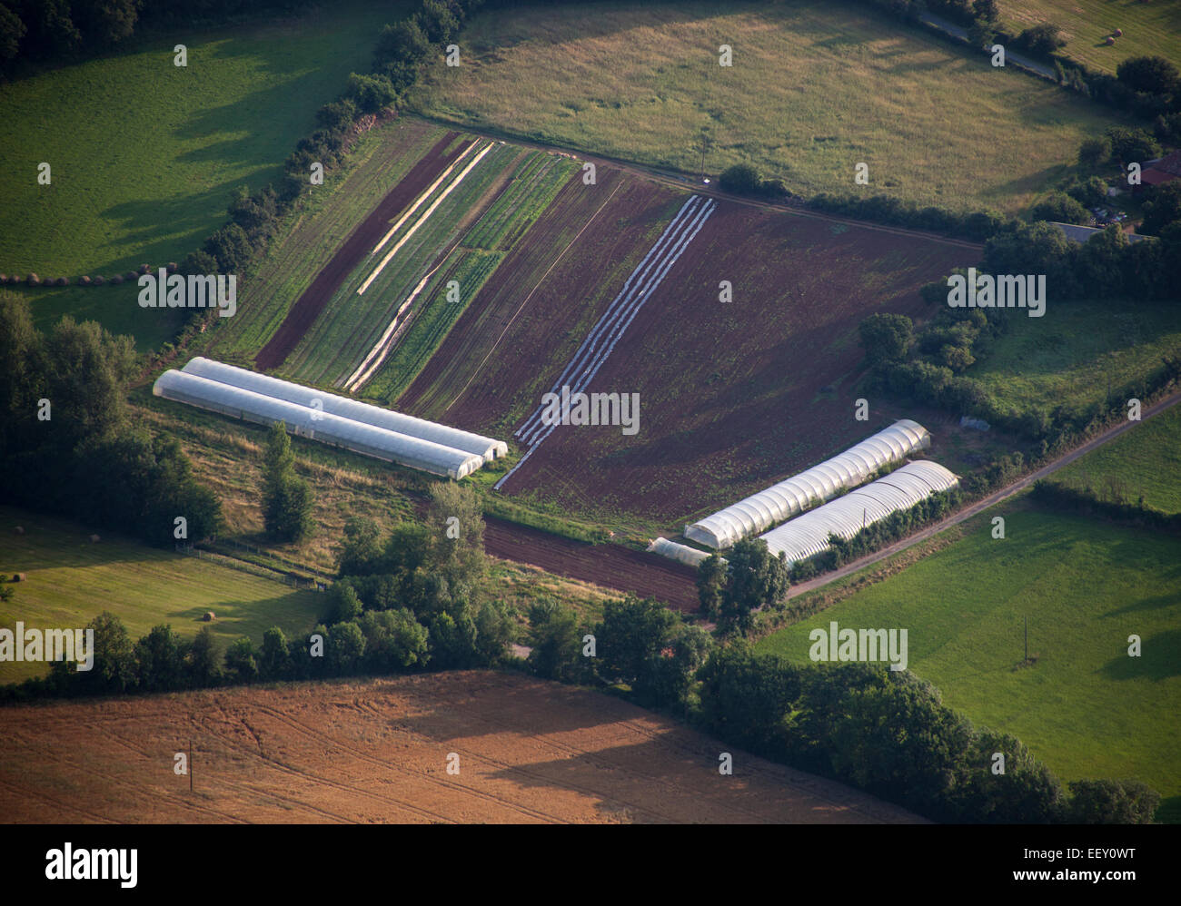 Vista aérea de los túneles y los campos para el cultivo de verduras Foto de stock