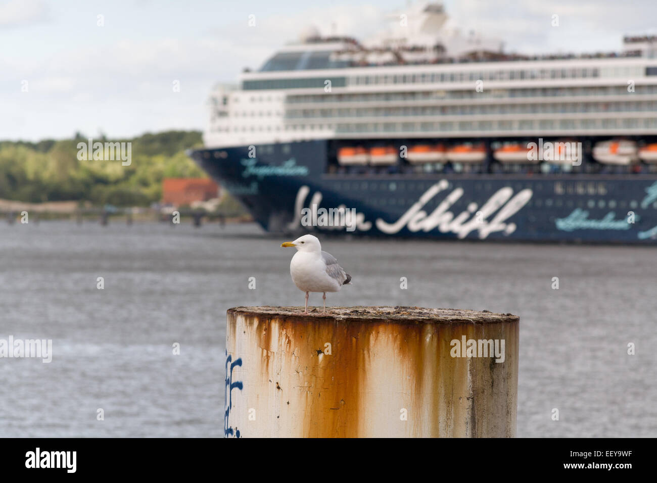 Kiel, Alemania, Mein Schiff 2 fuga en el fiordo de Kiel Foto de stock