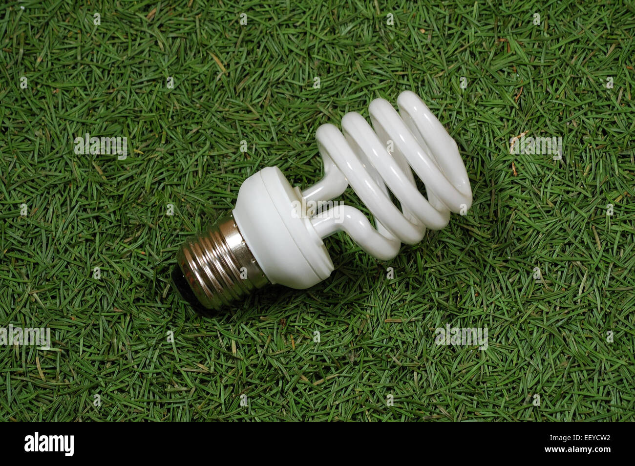 Lámpara de ahorro de energía en el fondo las agujas de coníferas. Foto de stock