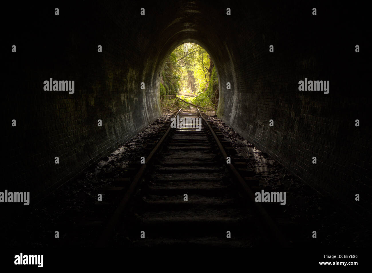 Abandonar el túnel ferroviario Foto de stock