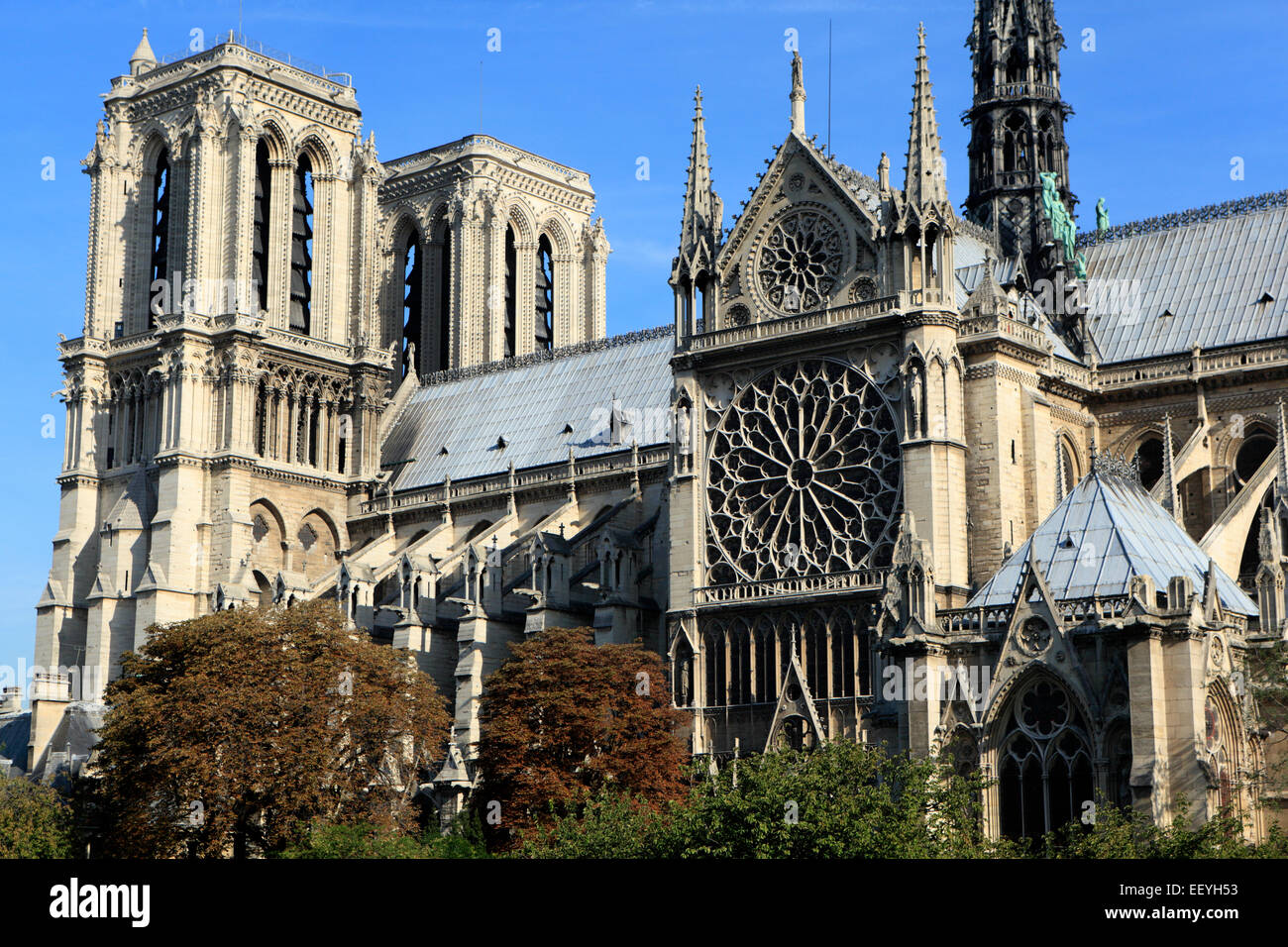 Vista lateral de la famosa catedral de Notre Dame en París, bañado en la  luz de la mañana direccional Fotografía de stock - Alamy