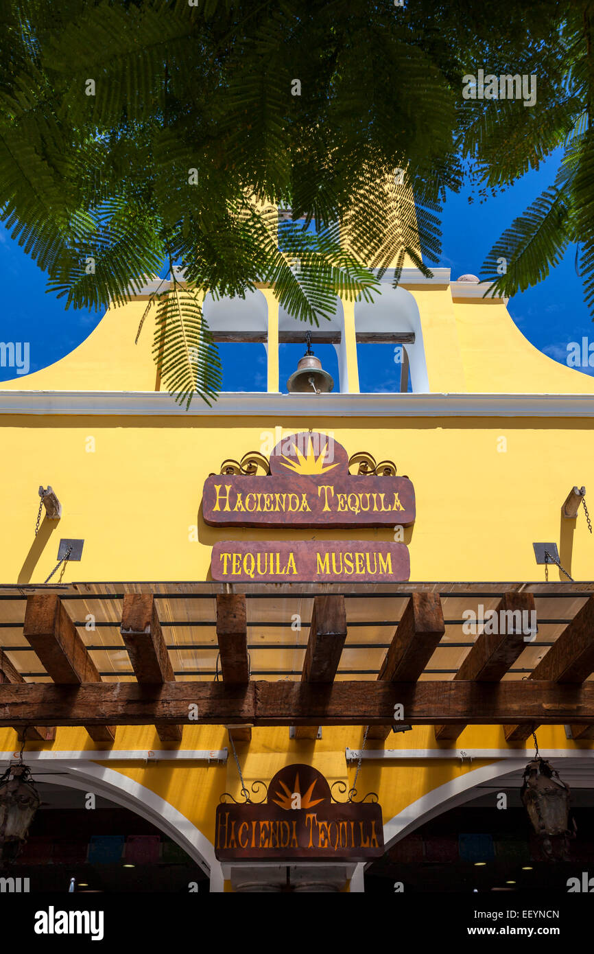 Tequila museum playa del carmen fotografías e imágenes de alta