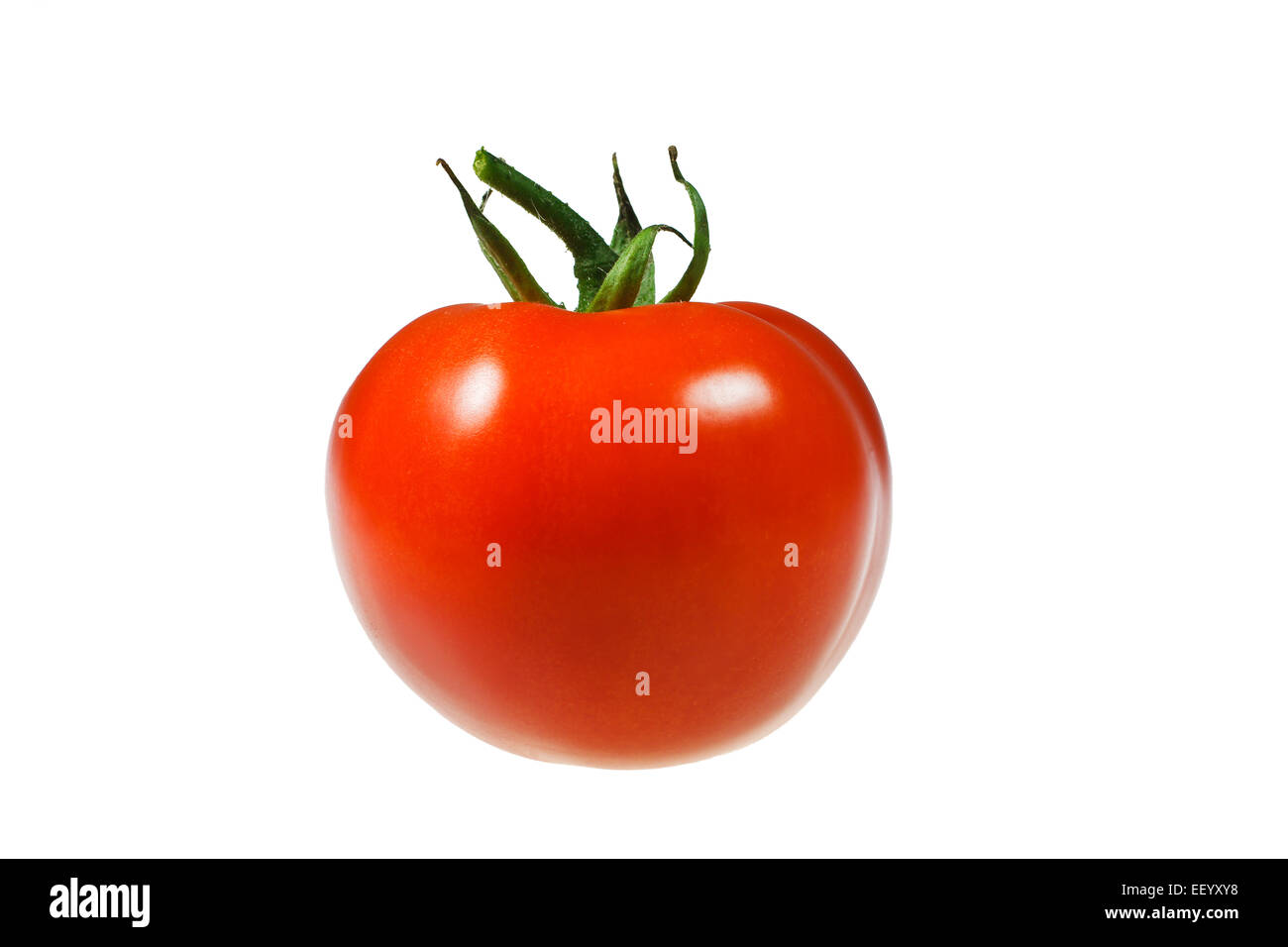 Un tomate rojo es opcional. Foto de stock