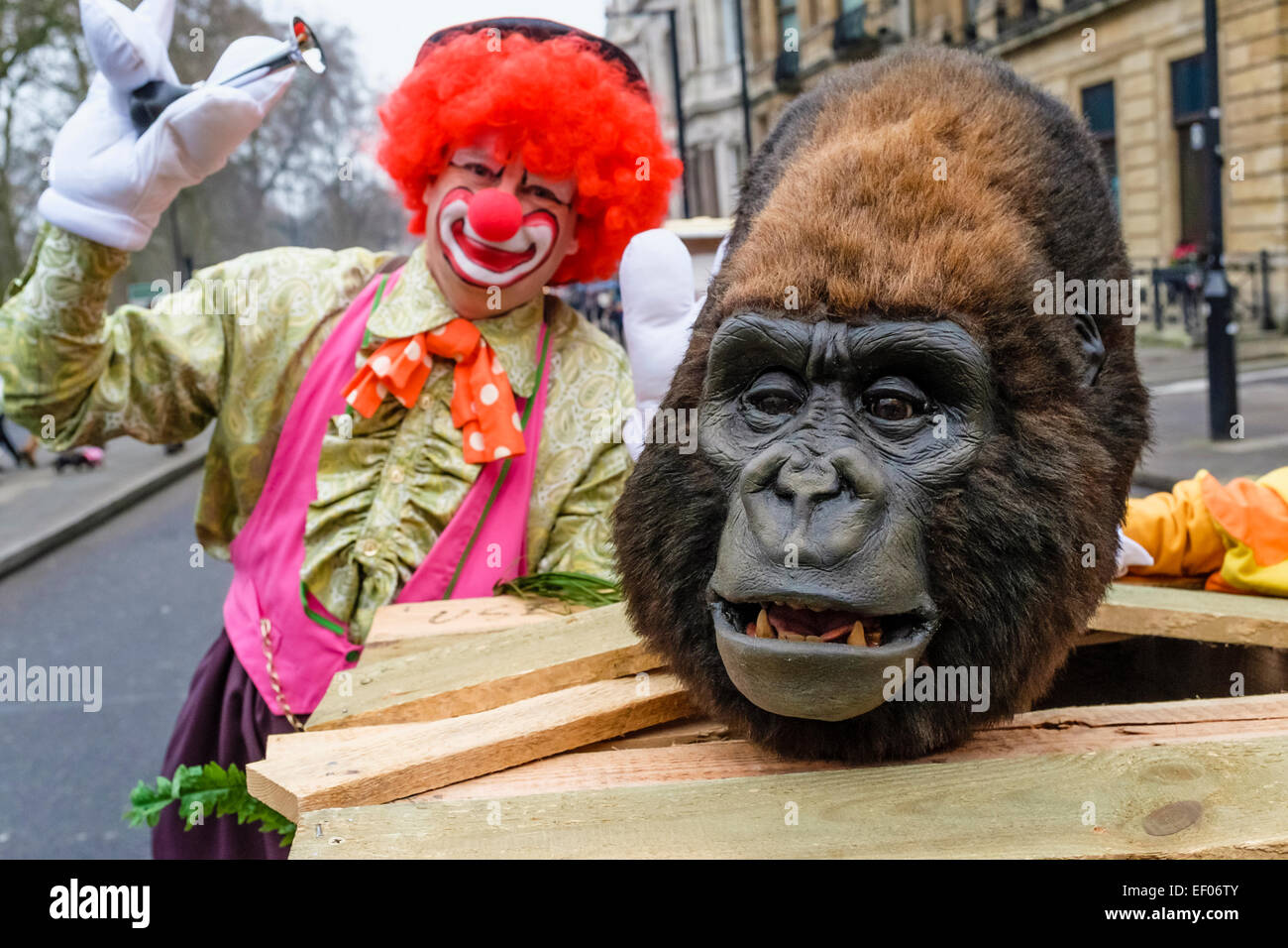 Participante en Londres 2015 Desfile del Día de Año Nuevo Foto de stock