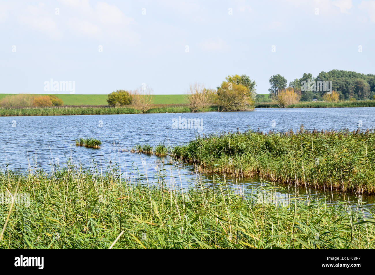 Río en los Países Bajos Foto de stock