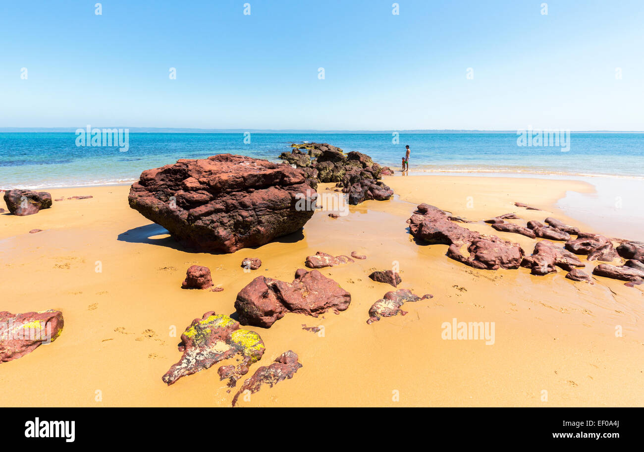 El padre y el hijo en la playa de rocas rojas de Phillip Island, Victoria, Australia Foto de stock