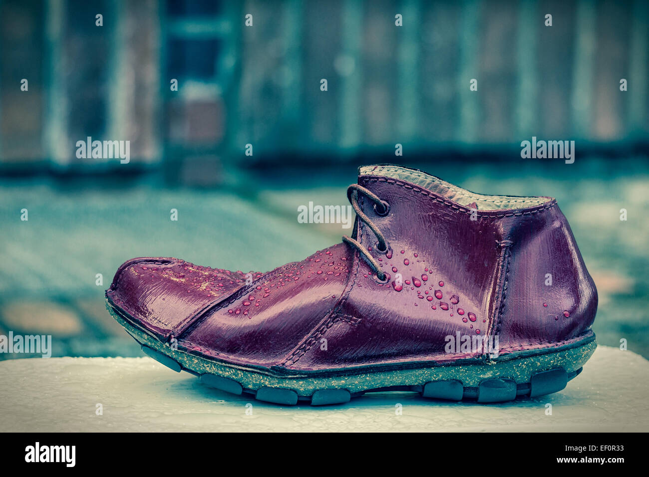 Un solo zapato. Foto de stock
