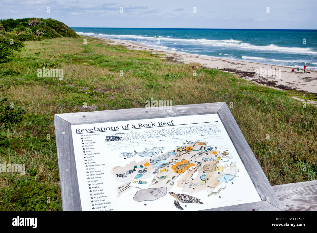 Riviera Beach Florida, North Palm Beach, John D. MacArthur Beach State Park, arrecife de piedra caliza, agua, naturaleza, surf, Océano Atlántico, playa, arena, signo, información Foto de stock