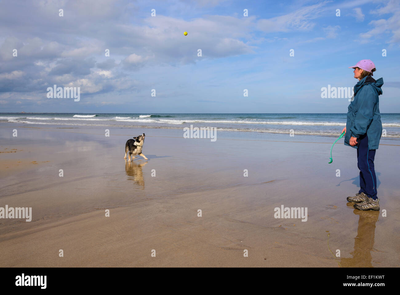 Mujer y Border Collie perro jugando a la pelota en la playa de Bamburgh, Northumberland, Inglaterra Foto de stock