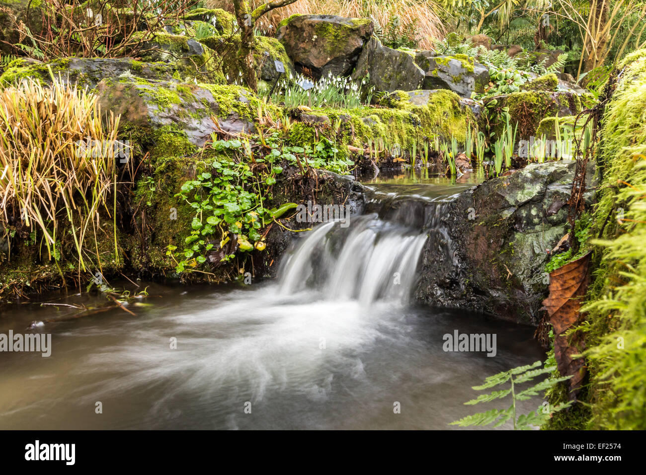 Cascada en invierno disparado con una velocidad de obturación lenta a blur  motion Fotografía de stock - Alamy