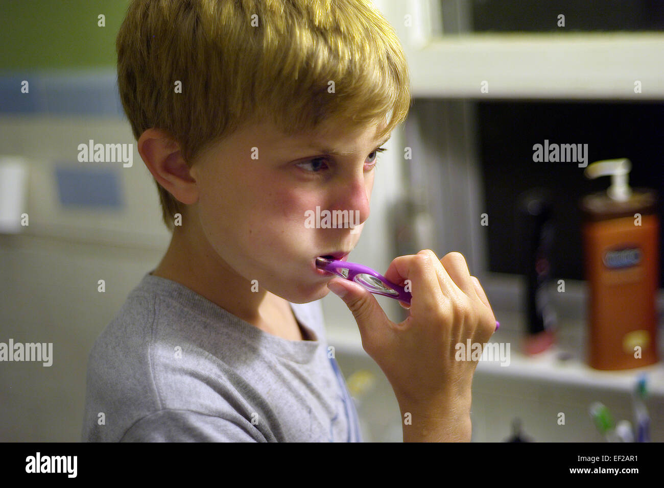Niño cepillarse los dientes en el baño de la casa Foto de stock