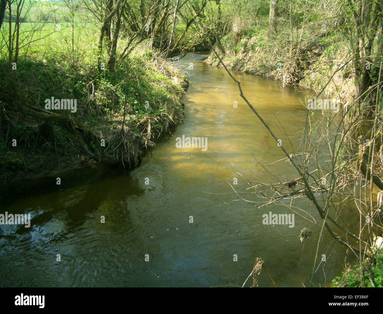Gusen fotografías e imágenes de alta resolución - Alamy