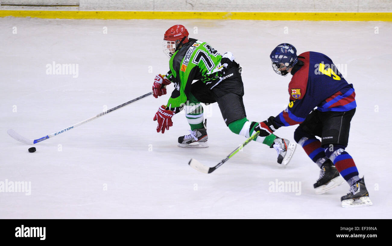 BARCELONA - 11 de mayo: Los jugadores en acción en la final de Hockey sobre Hielo de la Copa del Rey (Copa de España). Foto de stock