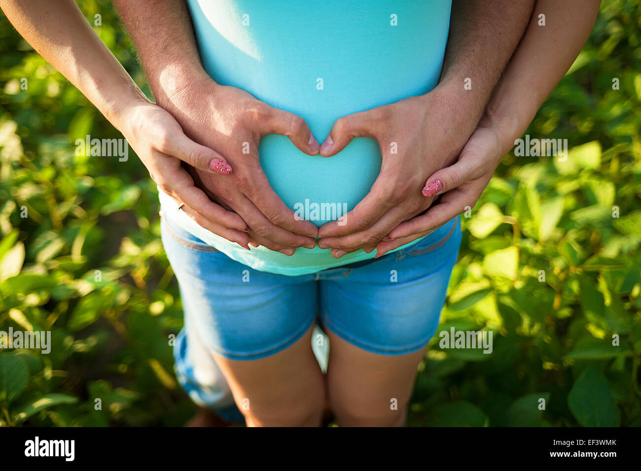 Las manos del hombre abrazar el vientre de la mujer embarazada Foto de stock