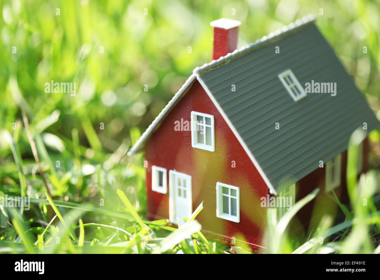 Pequeña casa roja en la pasto verde Foto de stock