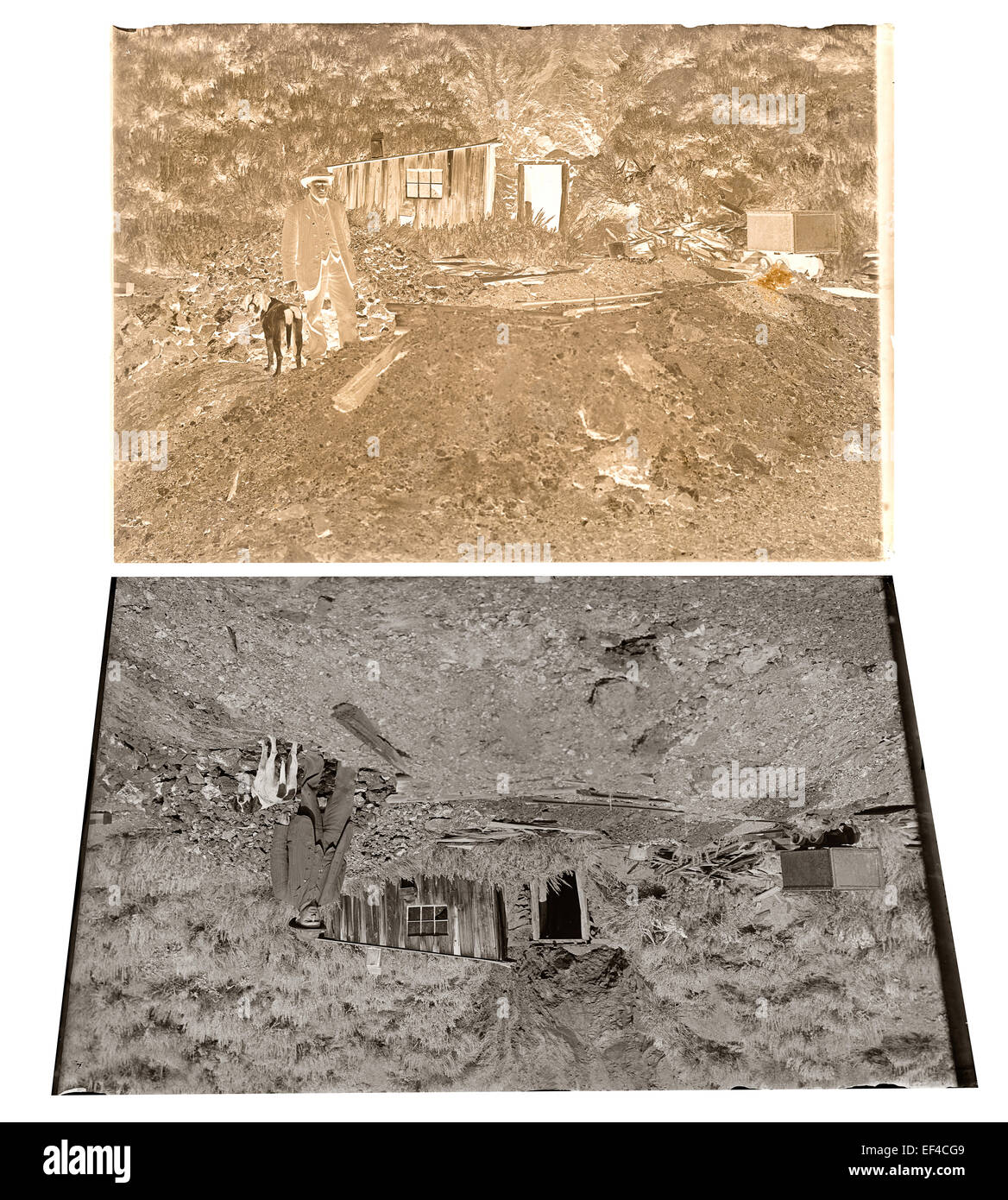 A finales del siglo XIX o principios del siglo XX la placa de vidrio impresión negativa y positiva de una mina, minera y su perro en Idaho, EE.UU. Foto de stock
