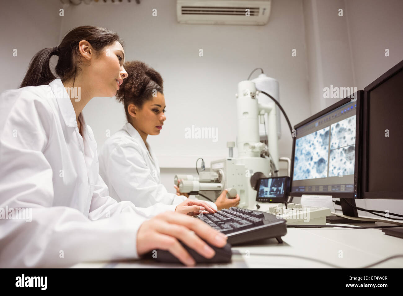 Los estudiantes de ciencias mirando imagen microscópica en el equipo Foto de stock