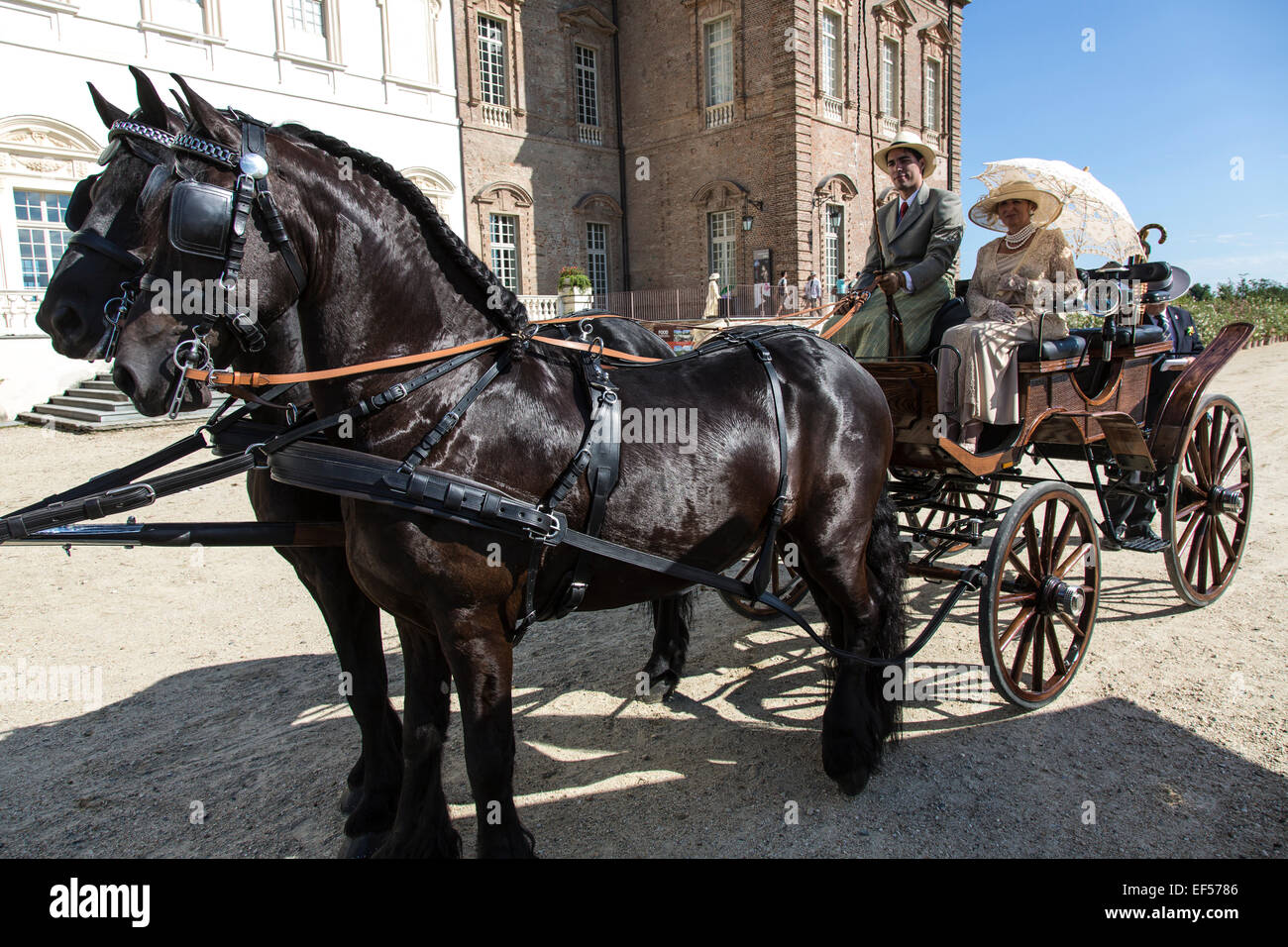 Concurso internacional de carruajes típicos 'La Venaria Reale',Tipo de carro: Phaeton,dos caballos Freiberger,Italia Foto de stock