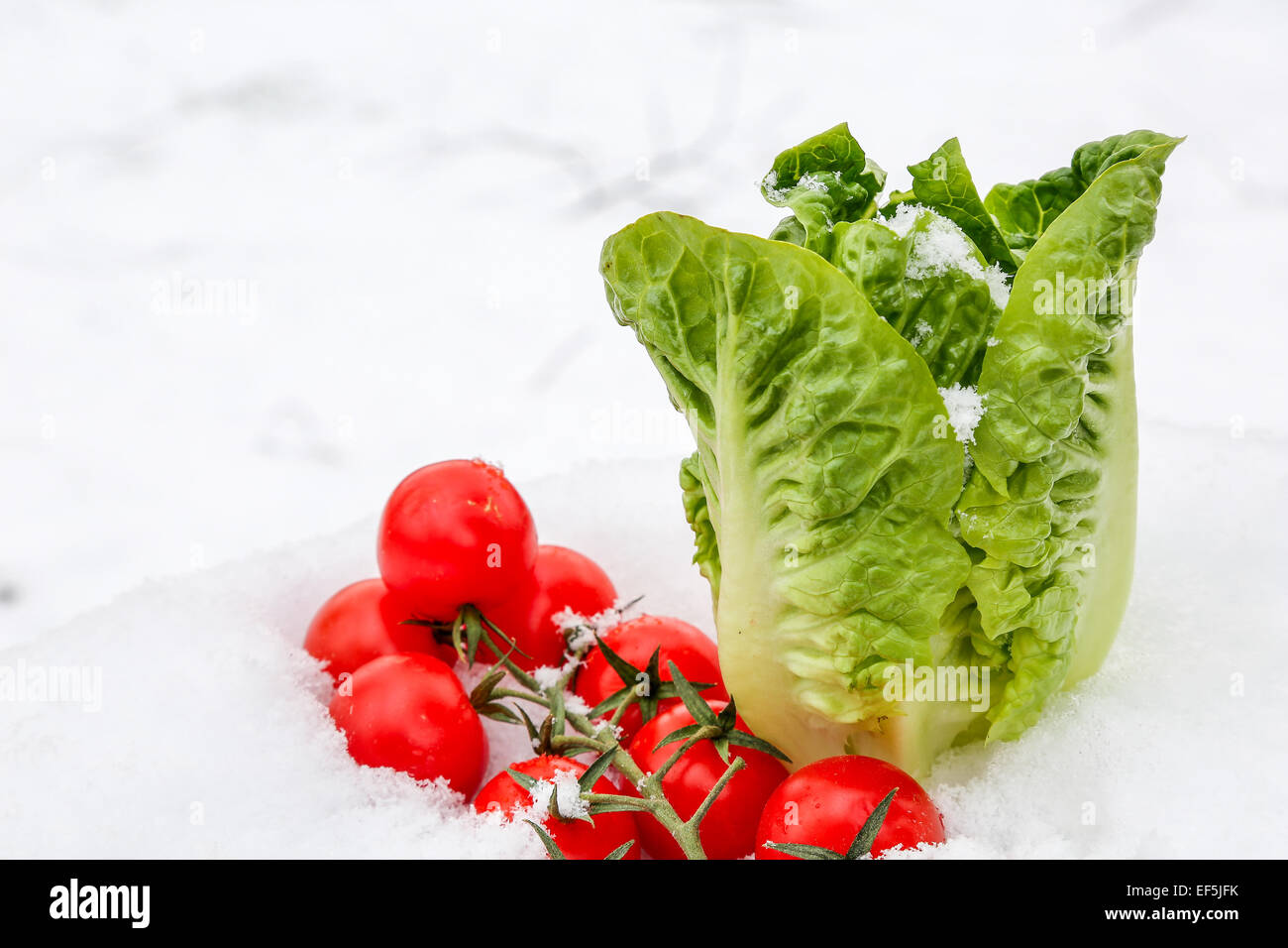 Hortalizas de invierno son una gran fuente de vitaminas Foto de stock