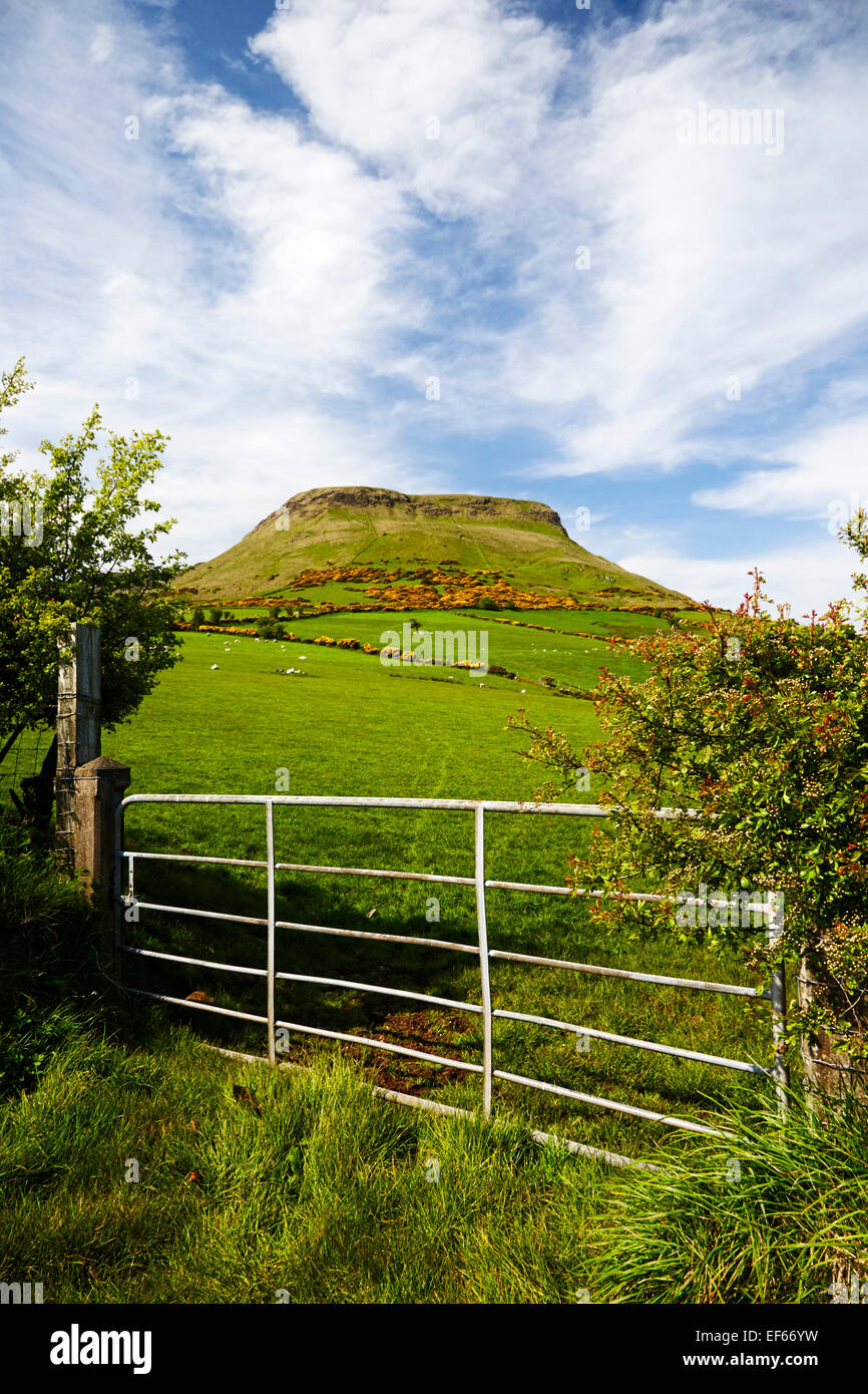 Montaña lurigethan glenariff, Condado de Antrim Irlanda Foto de stock
