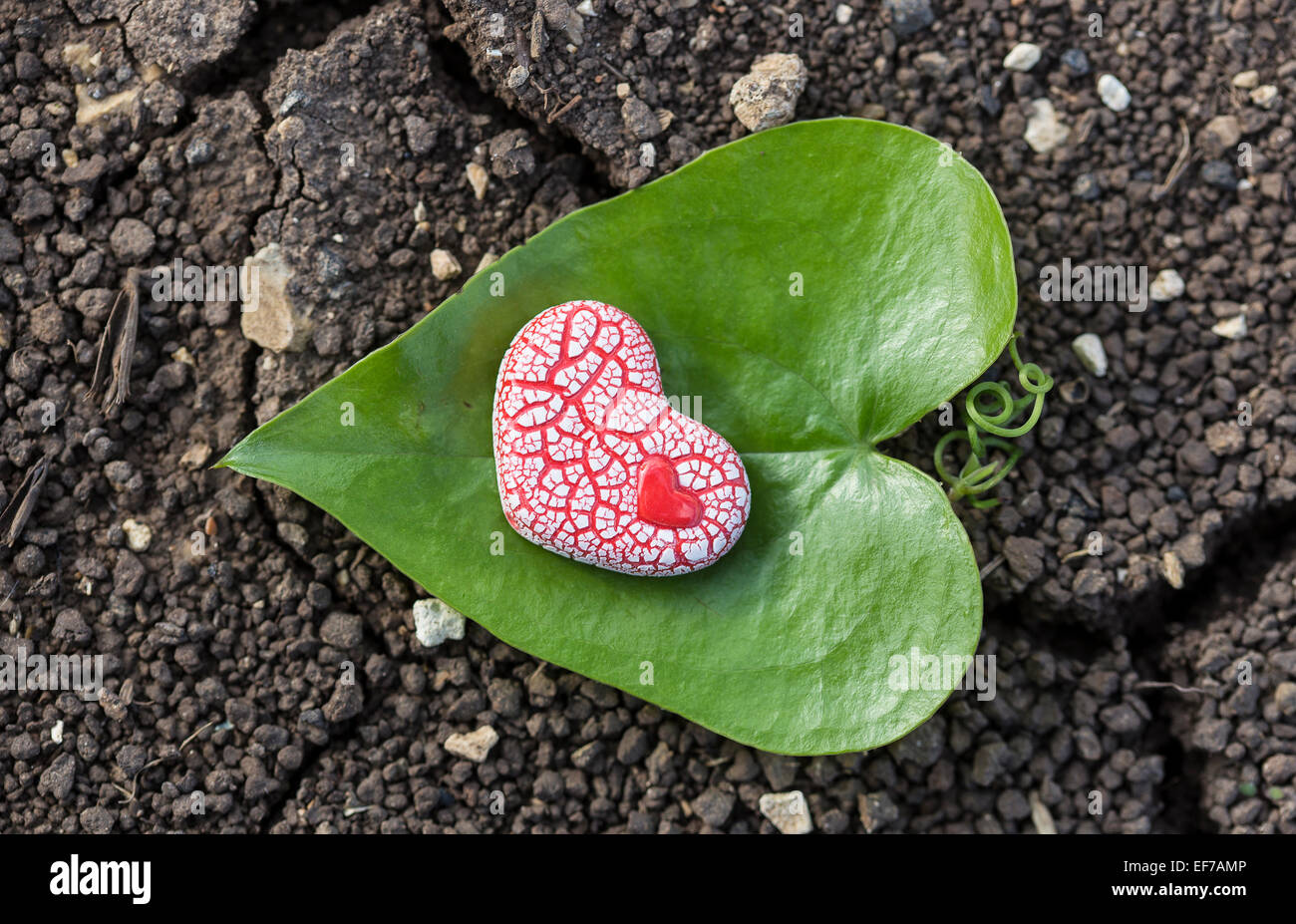 Un corazón moteado de cerámica roja con un pequeño corazón dentro de ella se coloca sobre una hoja en forma de corazón verde en suelo seco. Foto de stock