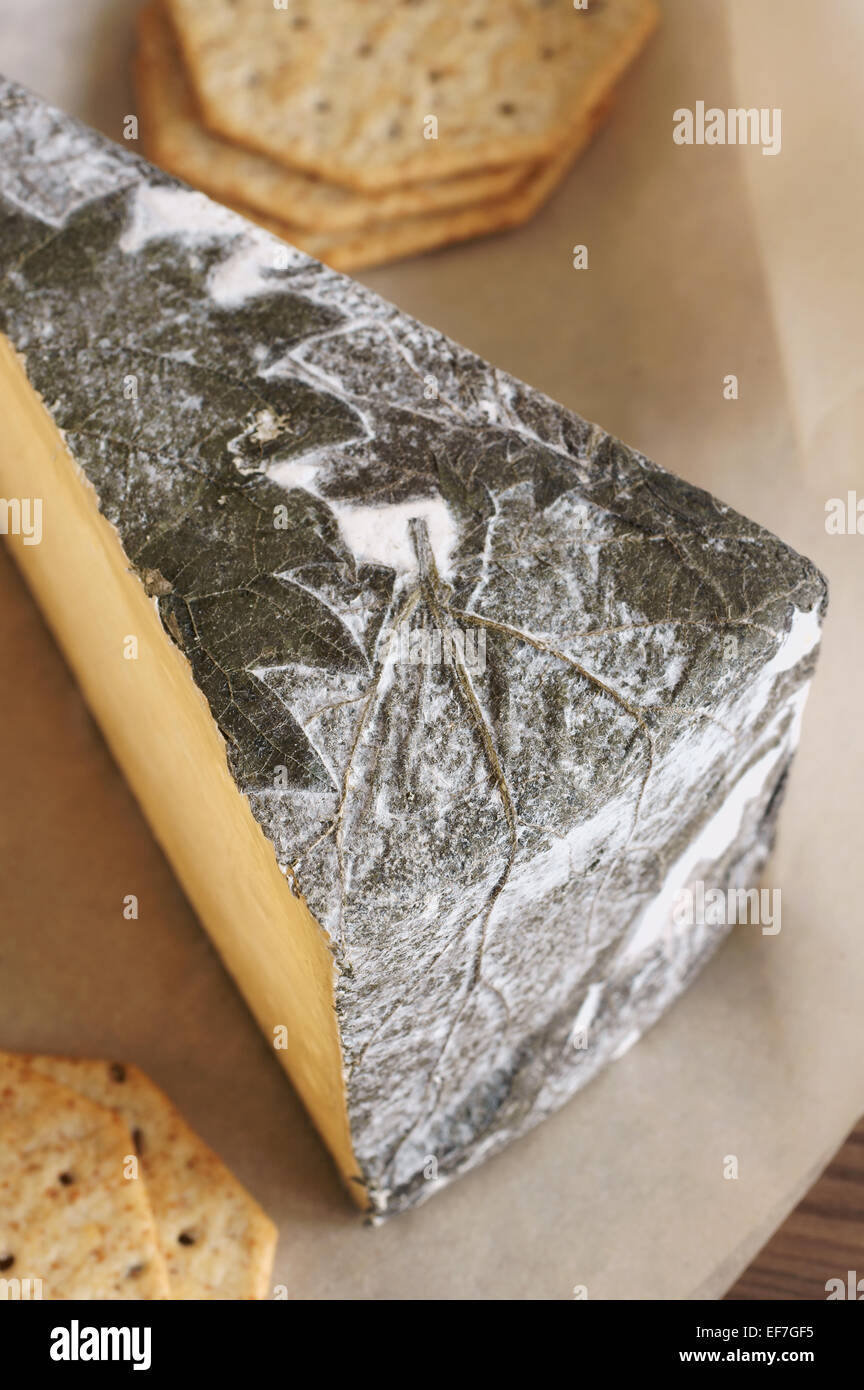 Cornish Yarg queso queso duro envuelto en hojas de ortiga hechas en Cornualles, Inglaterra Foto de stock