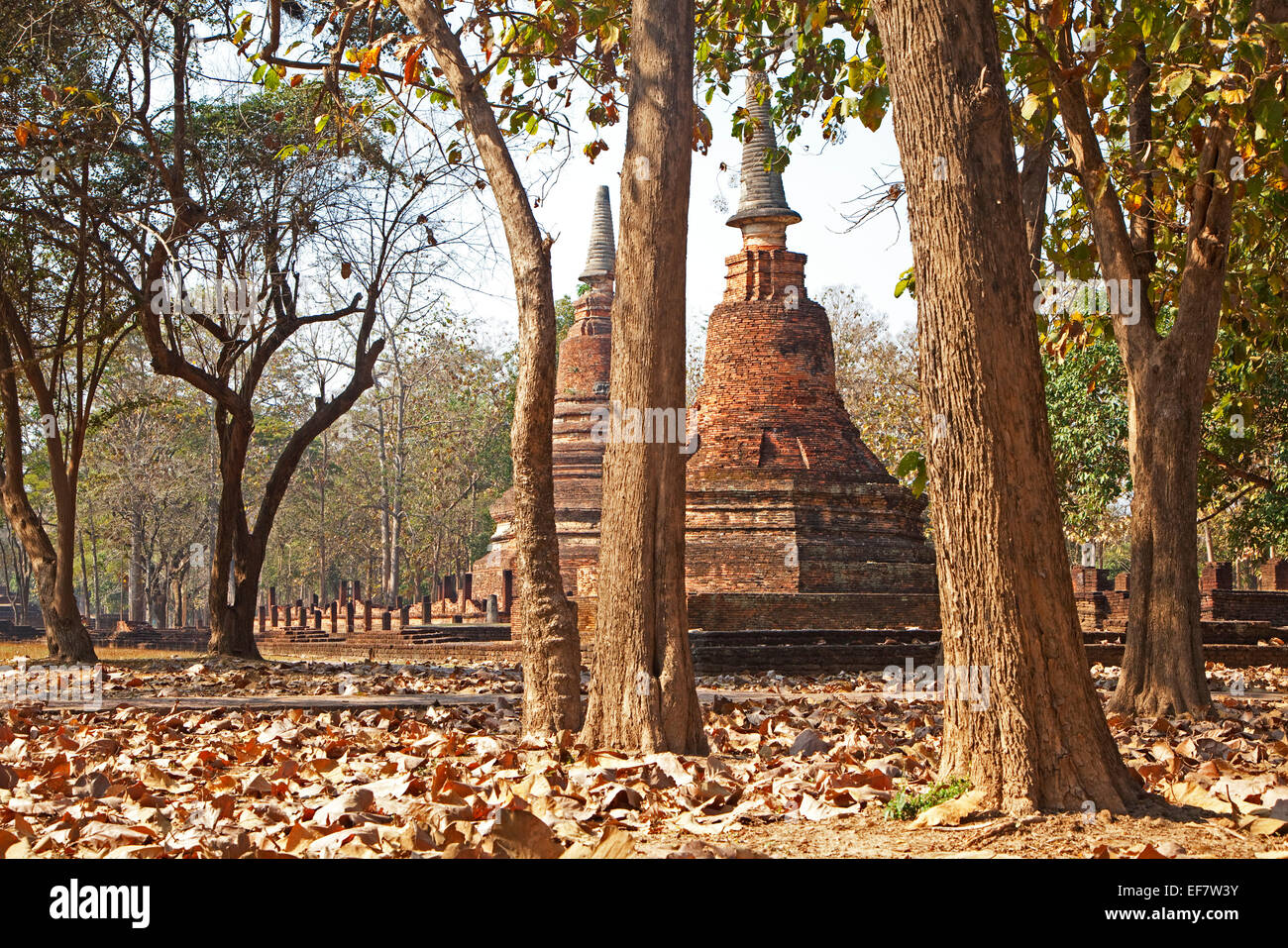 Las estupas budistas dentro del Parque Histórico de Kamphaeng Phet, en el norte de Tailandia Foto de stock