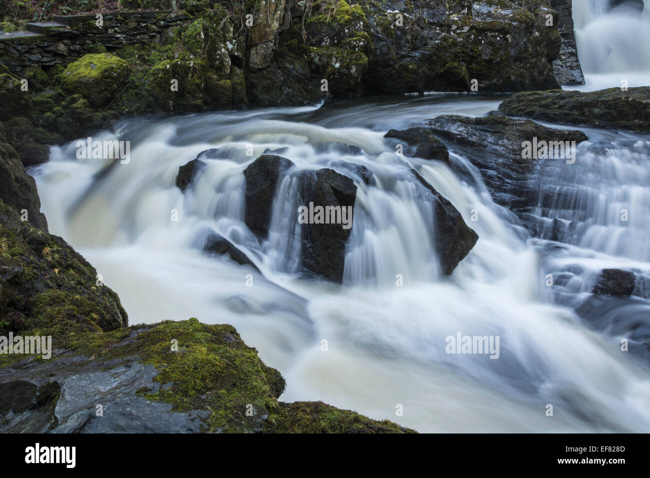 Rival cae en las famosas cascadas Ingleton caminar en los valles de Yorkshire. Foto de stock